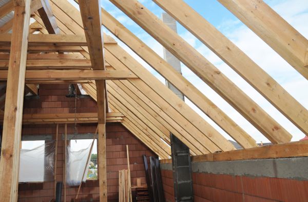 Professional Attic Roof Repair